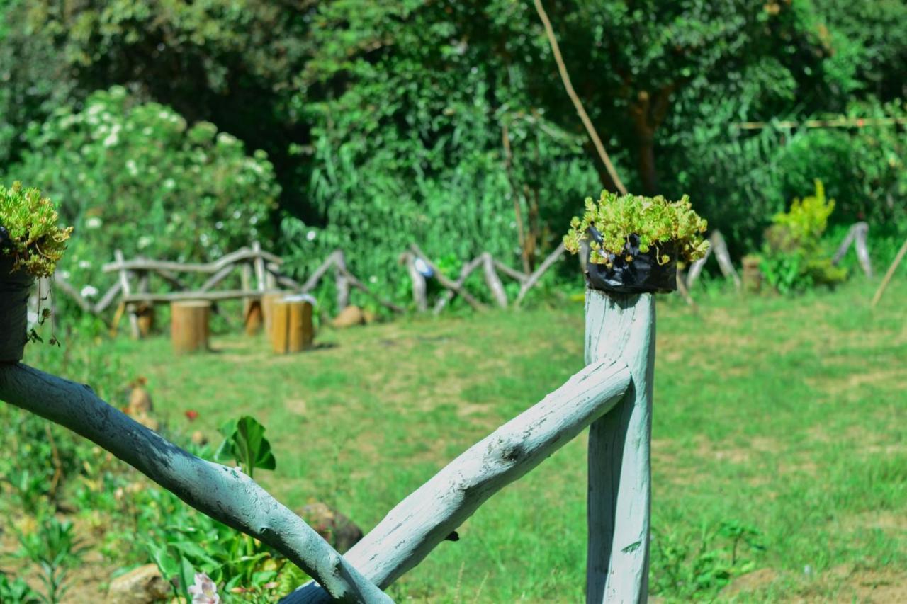 Ohiya Forest Lodge Luaran gambar