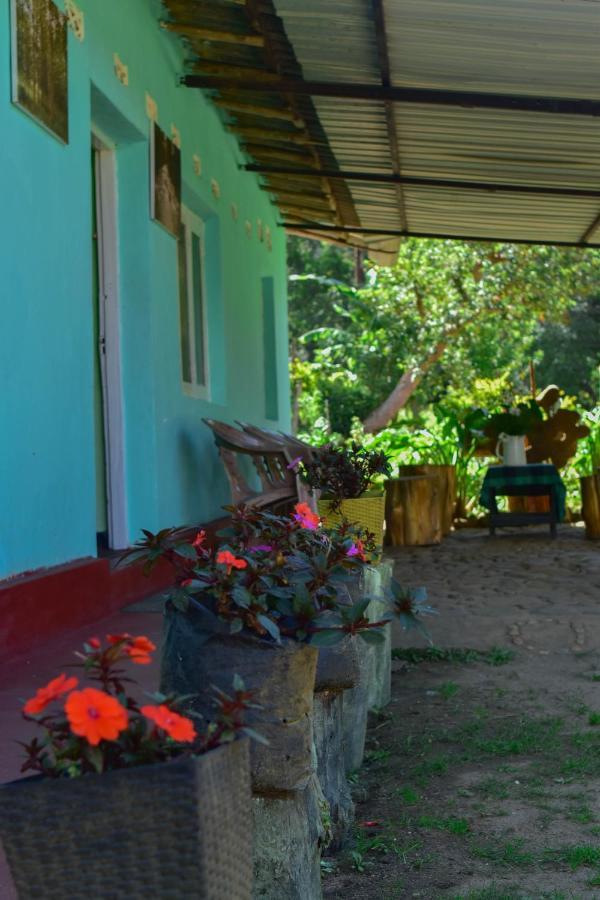 Ohiya Forest Lodge Luaran gambar