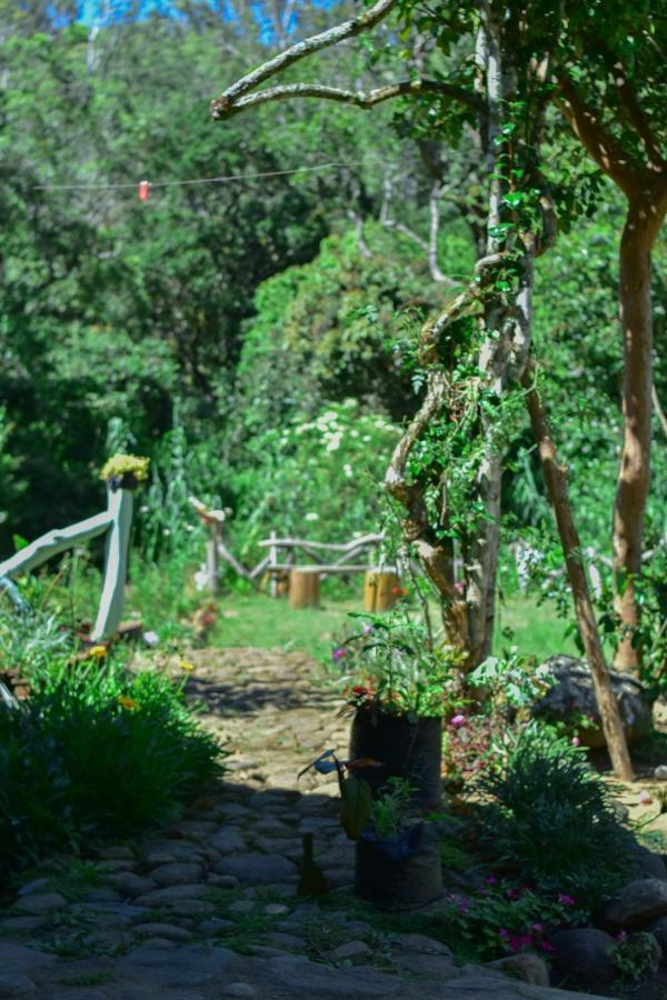 Ohiya Forest Lodge Luaran gambar