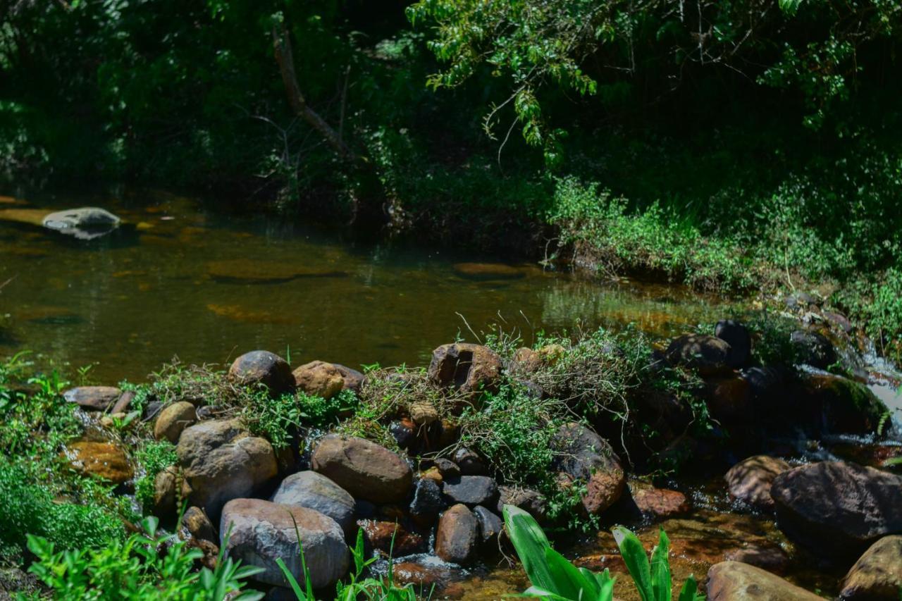 Ohiya Forest Lodge Luaran gambar
