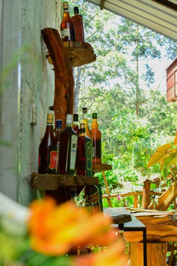 Ohiya Forest Lodge Luaran gambar