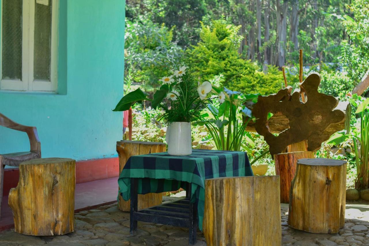 Ohiya Forest Lodge Luaran gambar