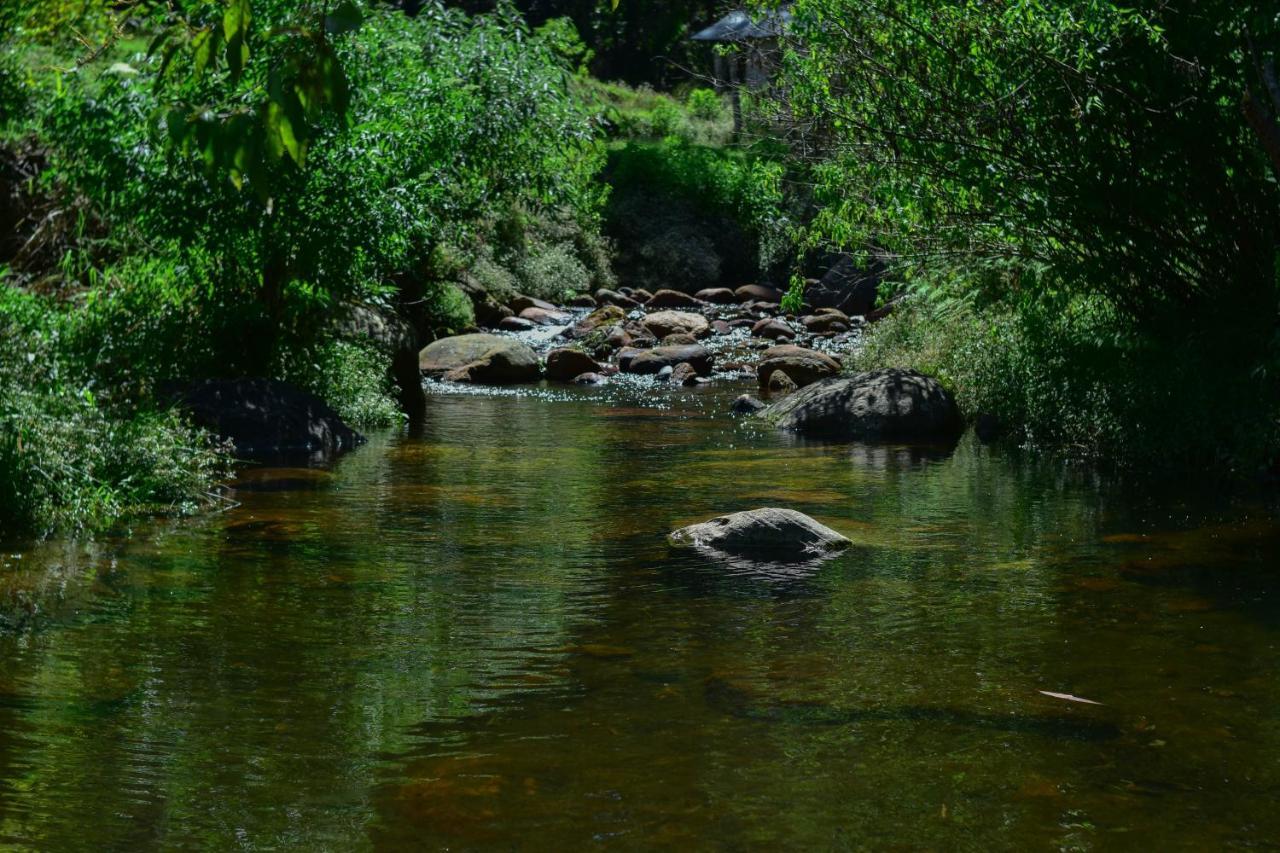 Ohiya Forest Lodge Luaran gambar