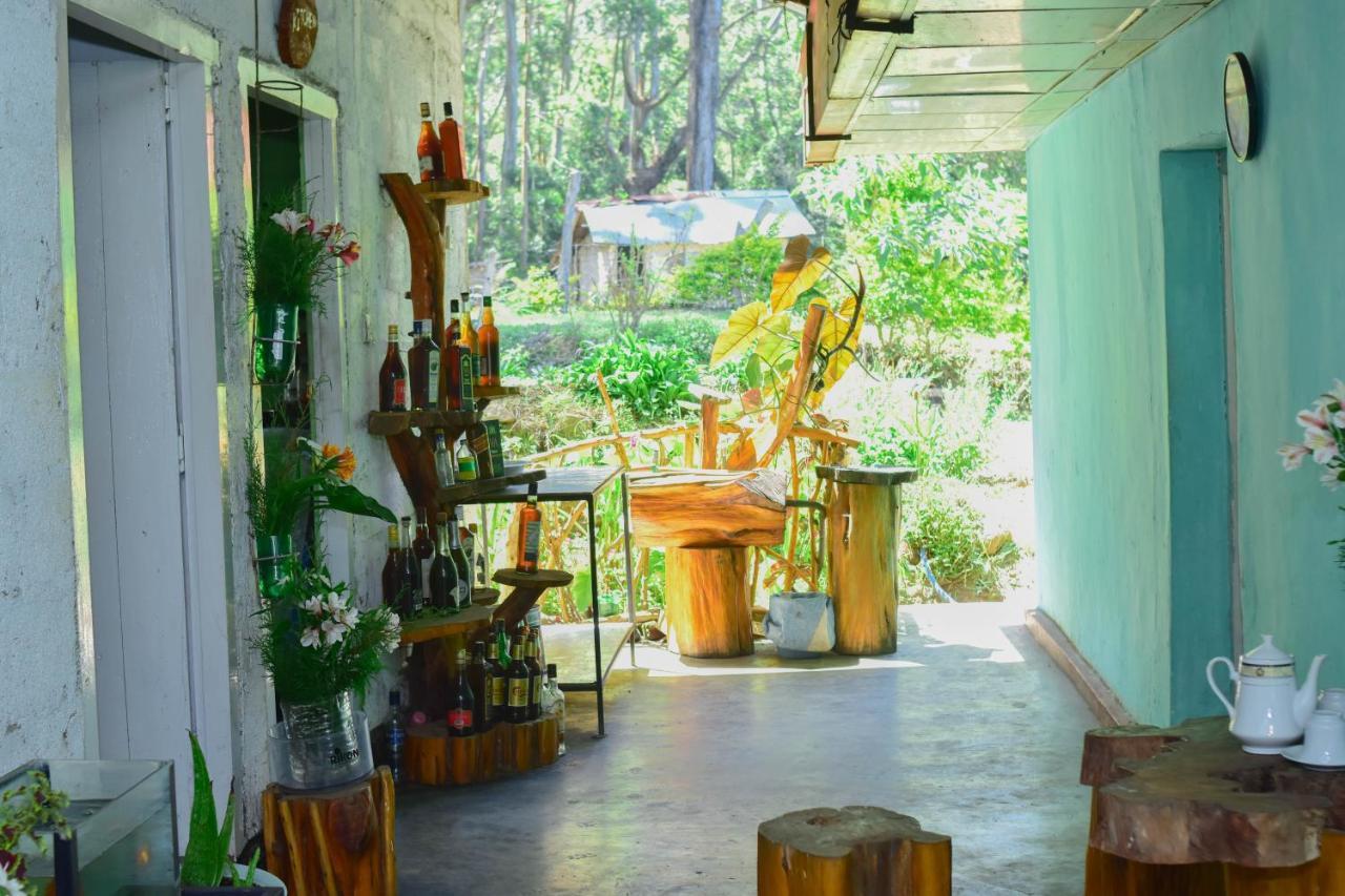 Ohiya Forest Lodge Luaran gambar